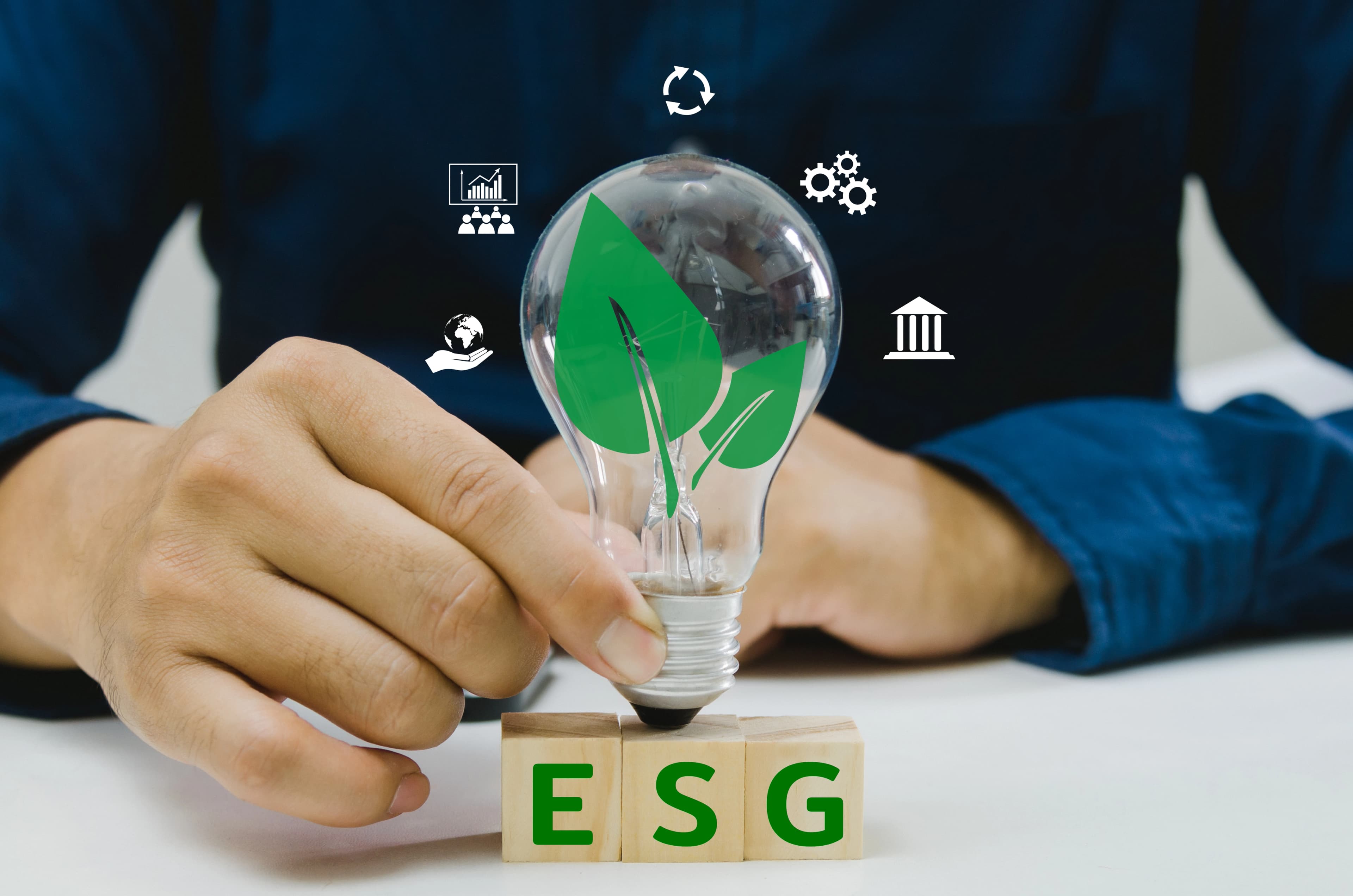 Sustainability and ESG impact